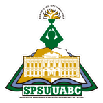 LOGOSPSU-2017sq_stroke_med